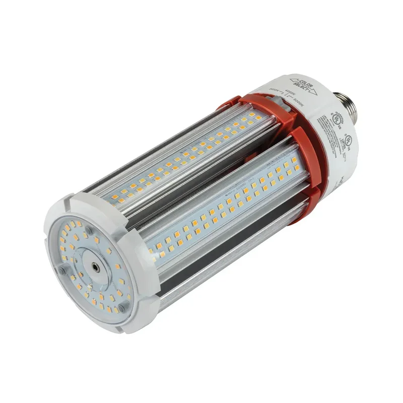 beeslighting12452427