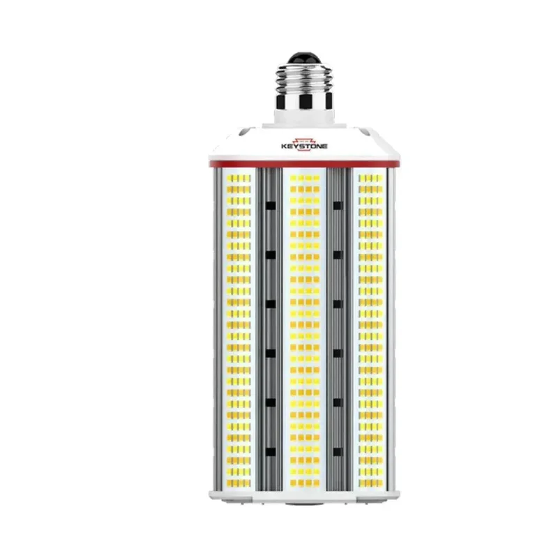 beeslighting12452441