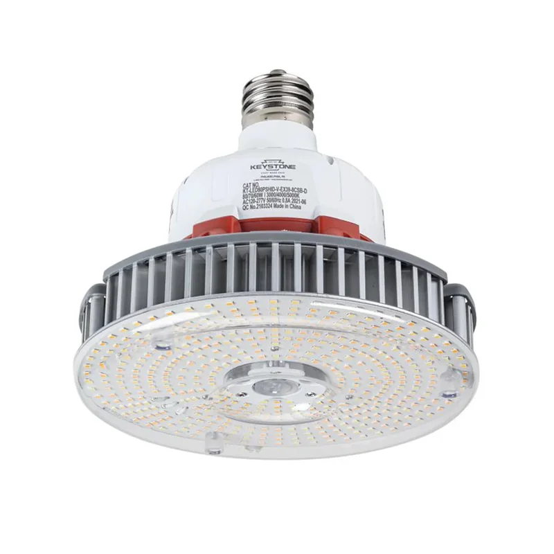 beeslighting12452489