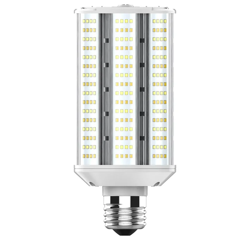 beeslighting12453666