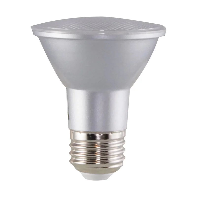beeslighting12453929