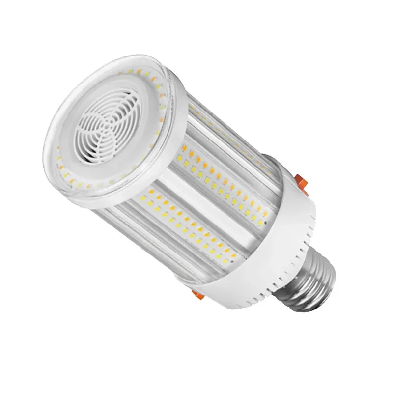 beeslighting12454562