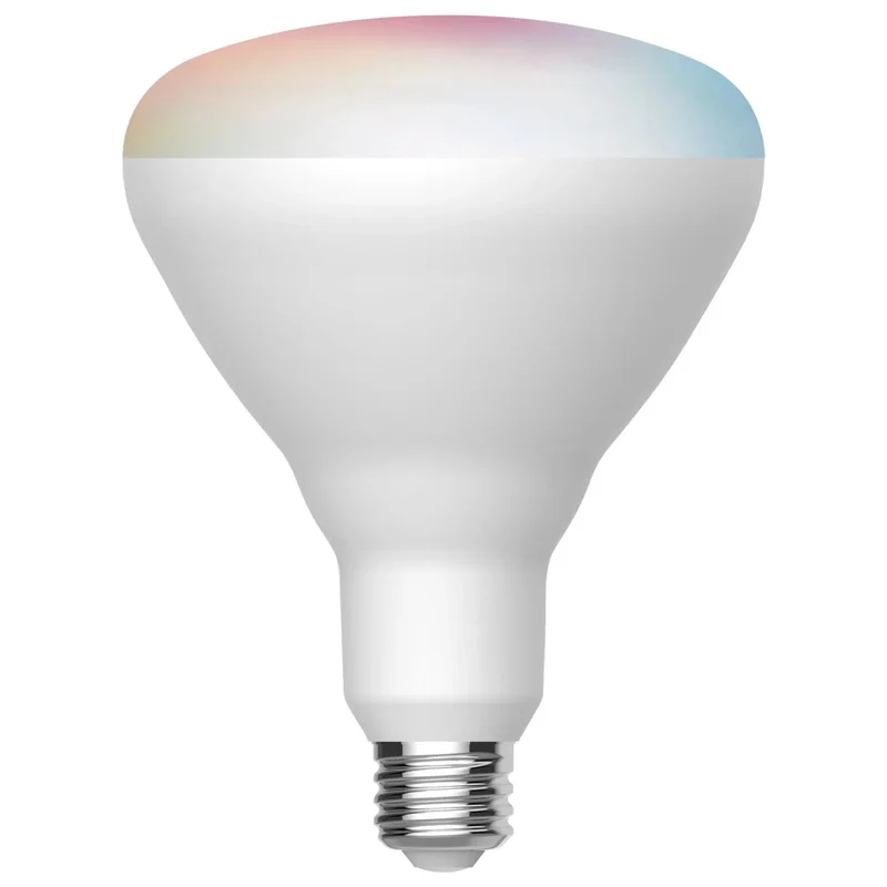 beeslighting12454672