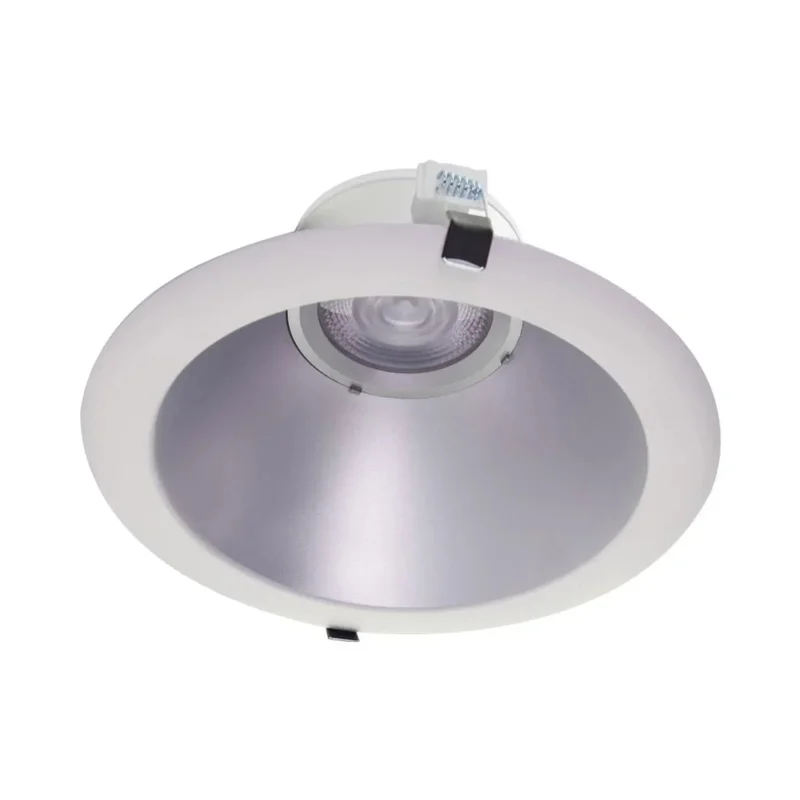beeslighting12454886