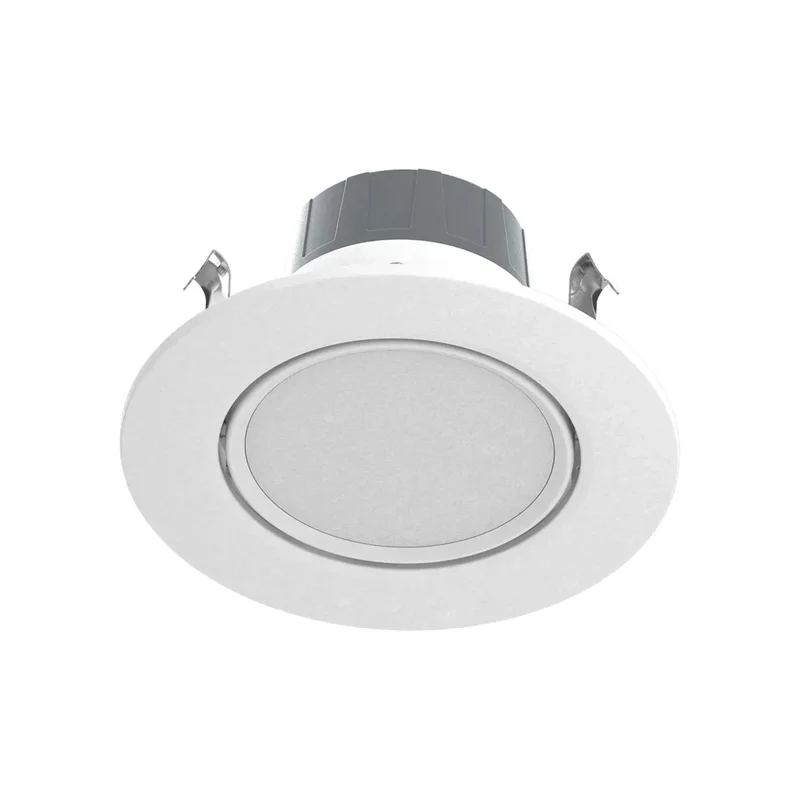beeslighting12454909