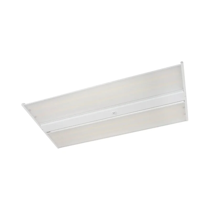 beeslighting12455662