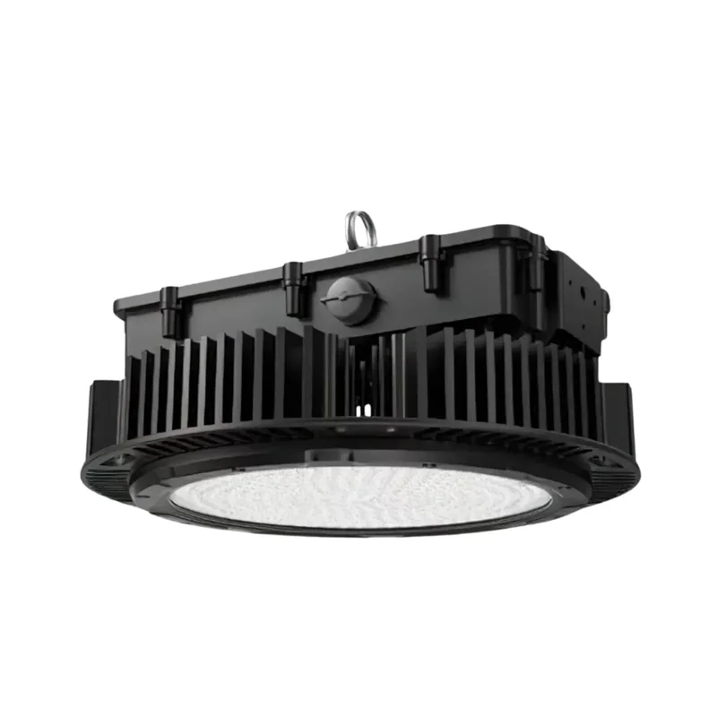 beeslighting12456059