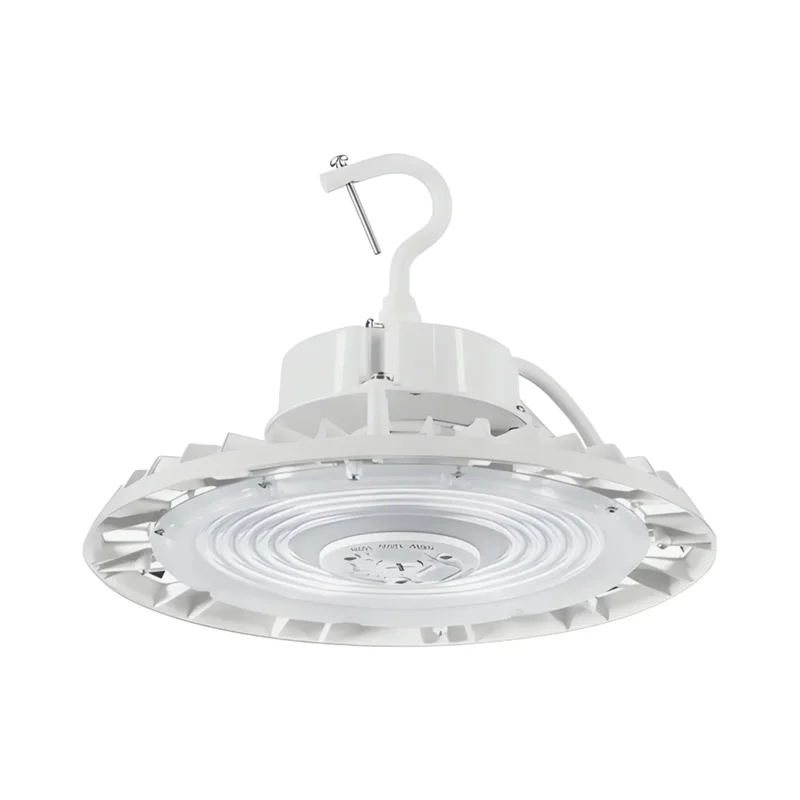 beeslighting12456109