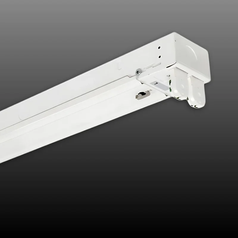 beeslighting12456312