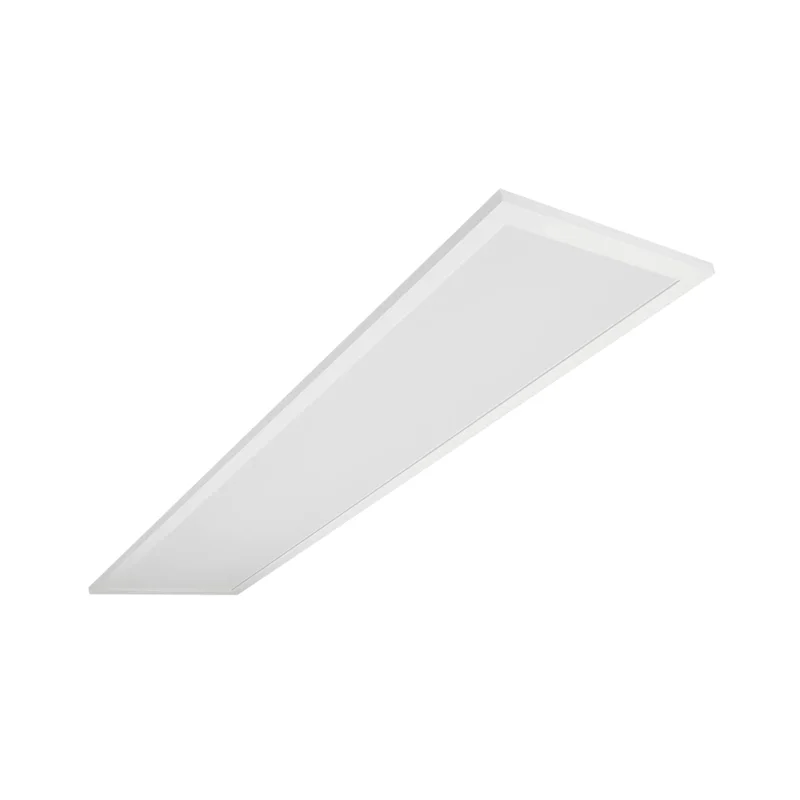 beeslighting12456419