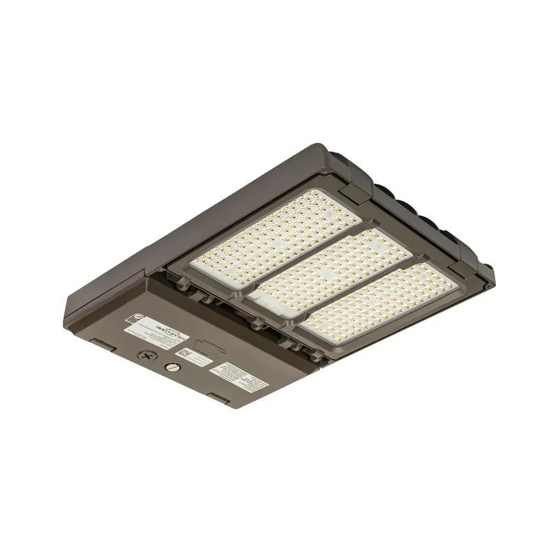 beeslighting12456525