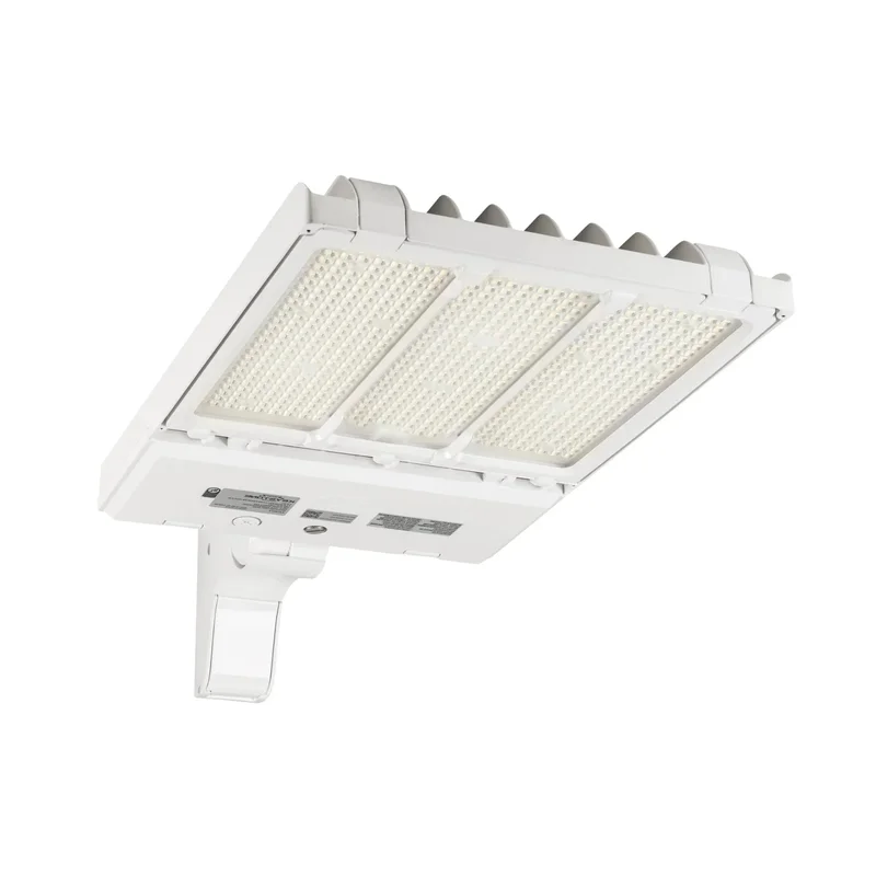 beeslighting12456682