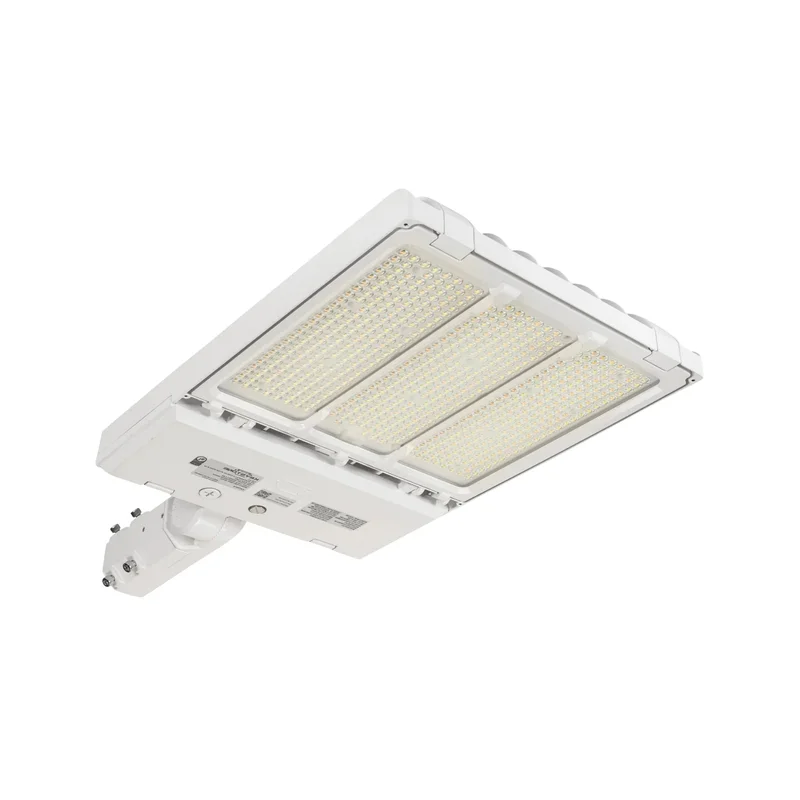 beeslighting12456700
