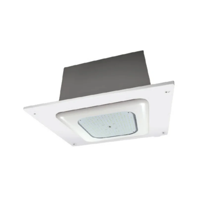 beeslighting12456727