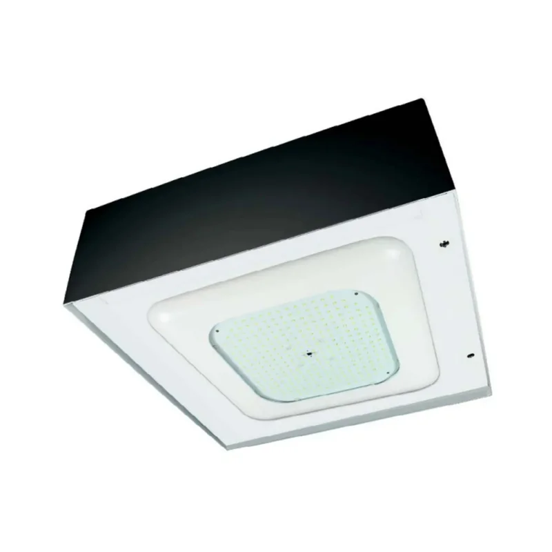 beeslighting12456747