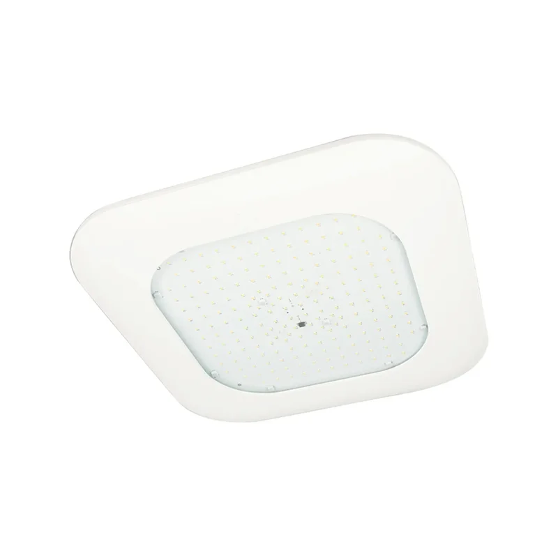 beeslighting12456806