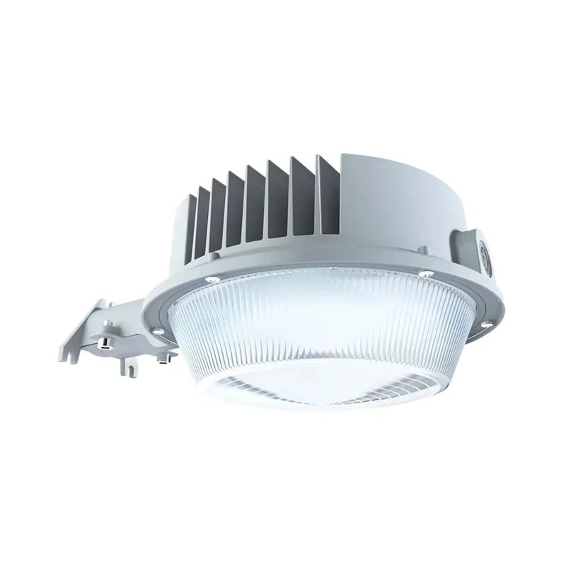 beeslighting12456848
