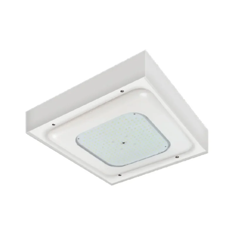 beeslighting12456864