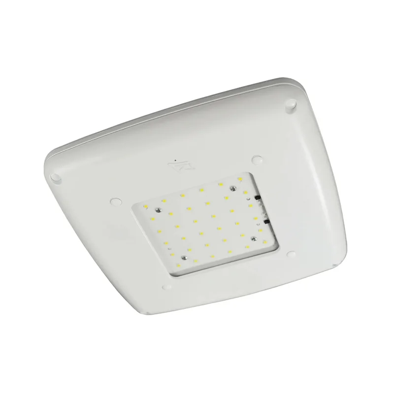 beeslighting12456900