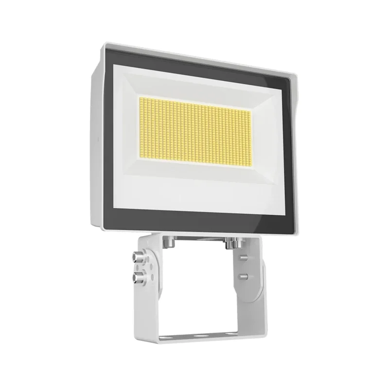 beeslighting12457898