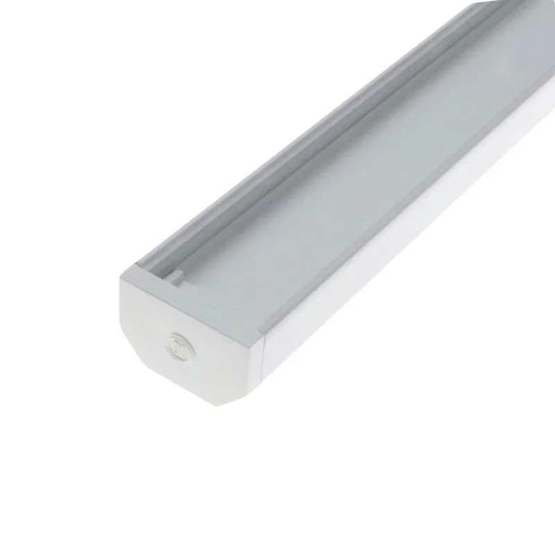 beeslighting12459785