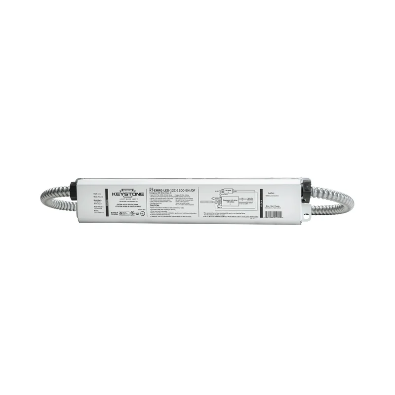 beeslighting12463207