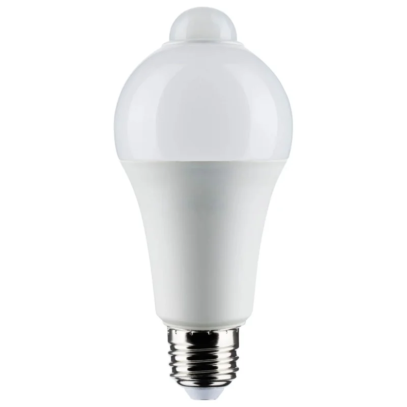 beeslighting12465371