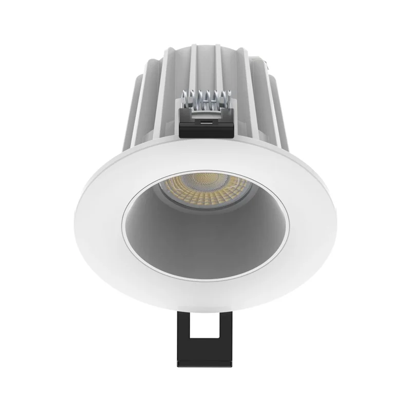 beeslighting12465557