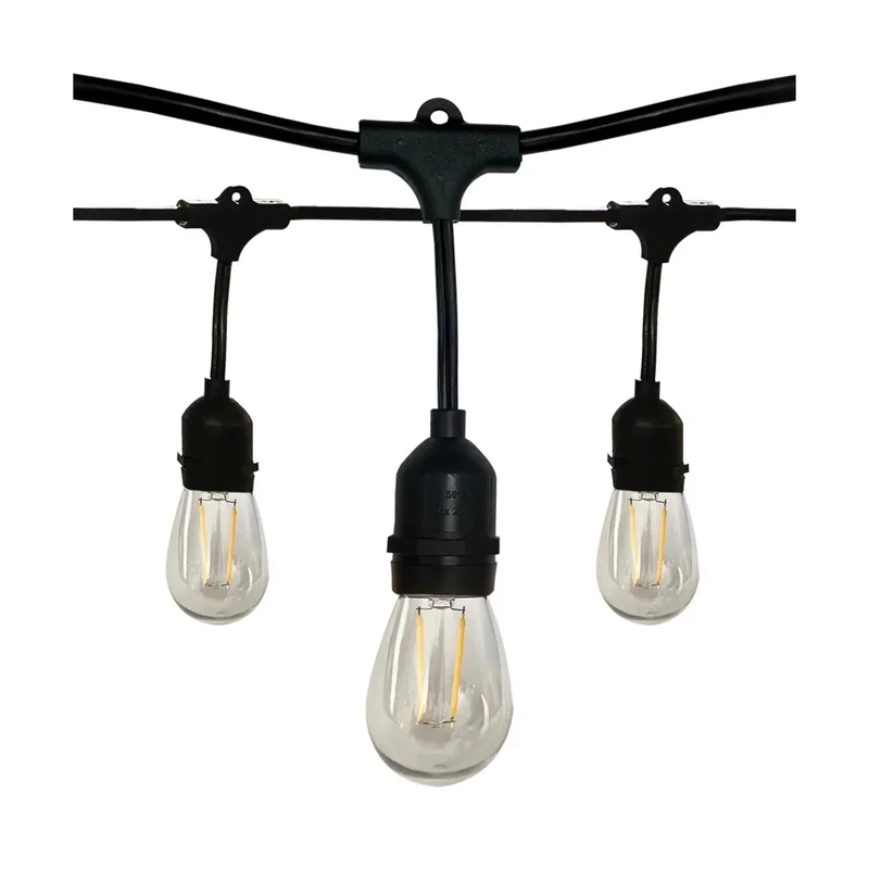 beeslighting12465882