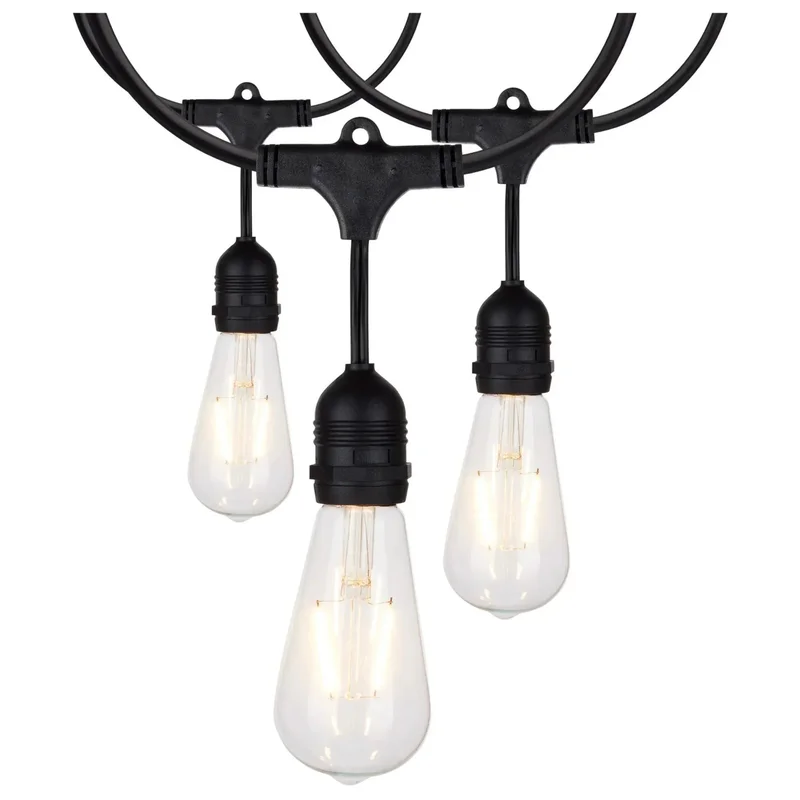 beeslighting12465917