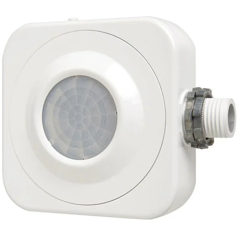 beeslighting12468175