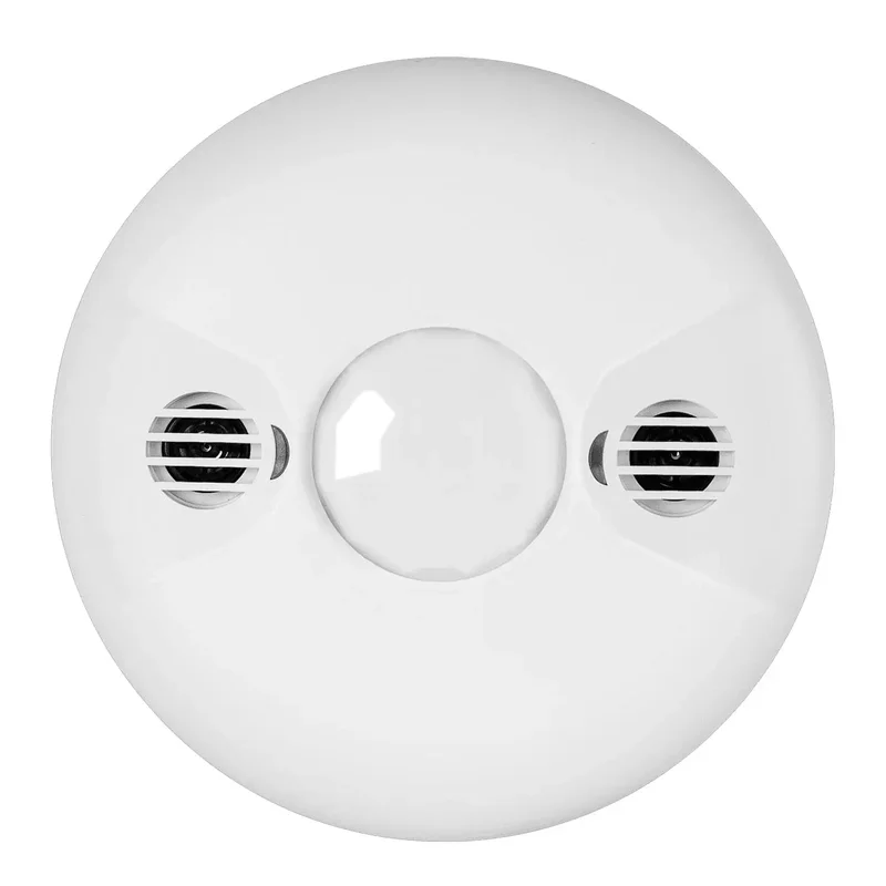 beeslighting12468295
