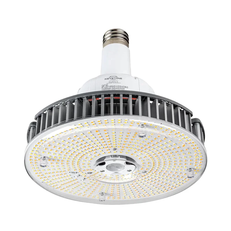 beeslighting12528063