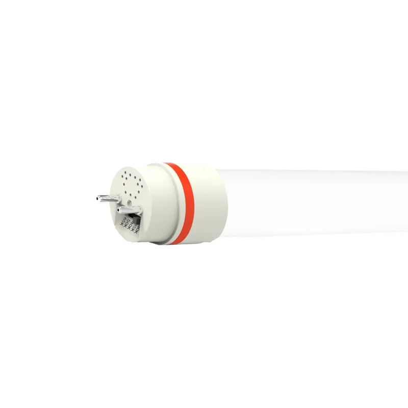 beeslighting12528164