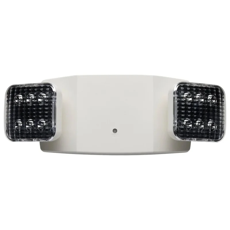 beeslighting12536303
