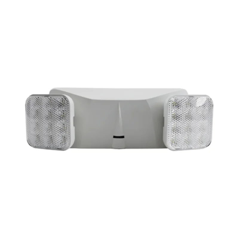 beeslighting12537239