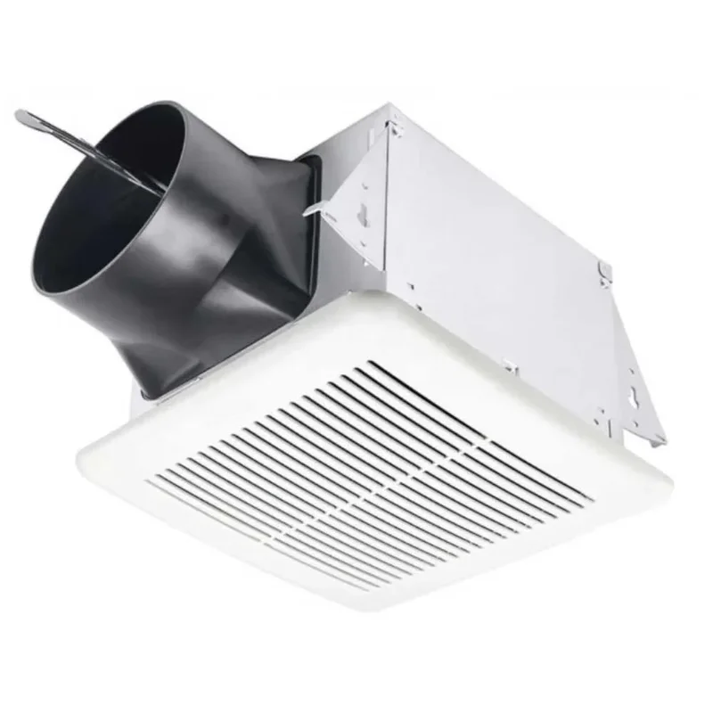 beeslighting12545531