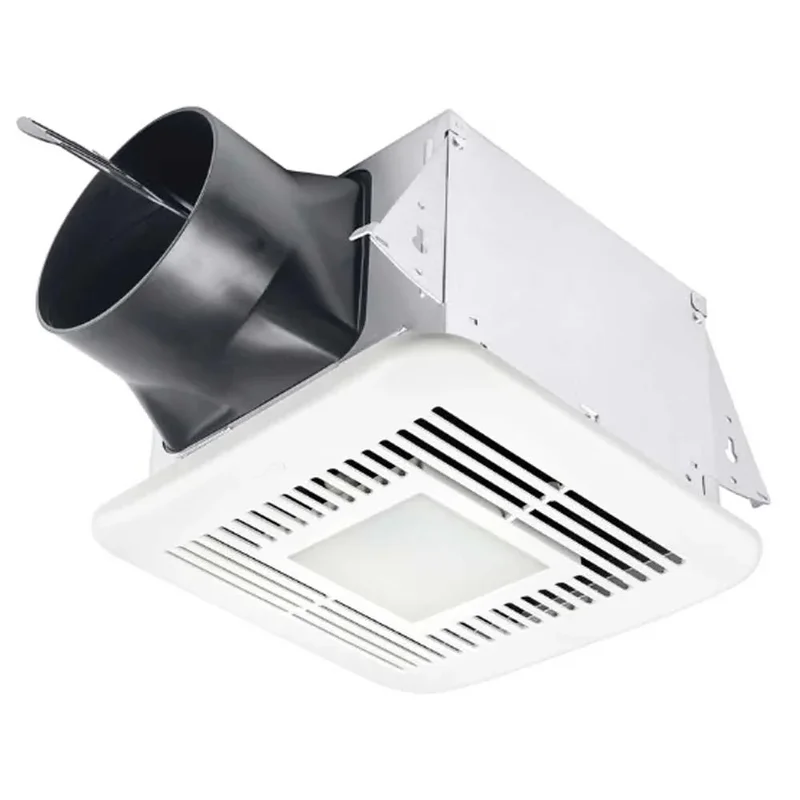 beeslighting12545592