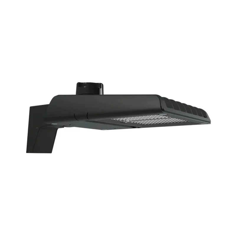 beeslighting12612362