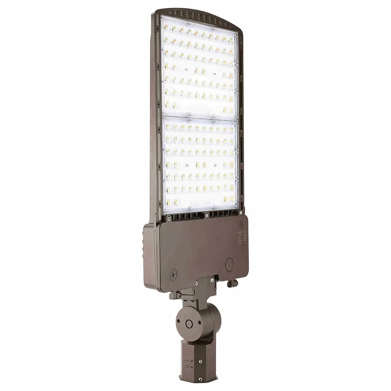 beeslighting12615792