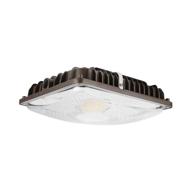 beeslighting12615818