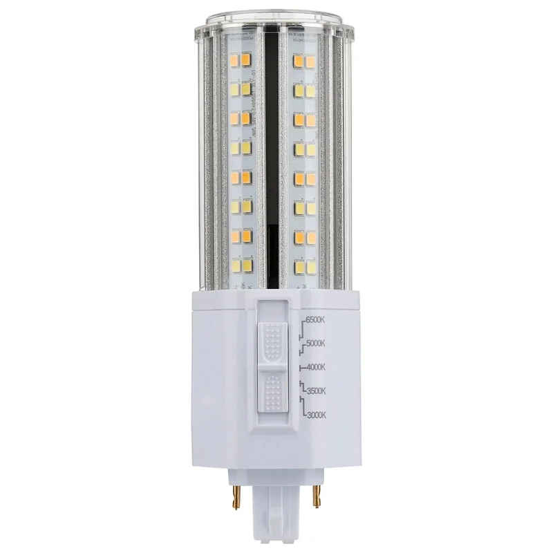 beeslighting12615874