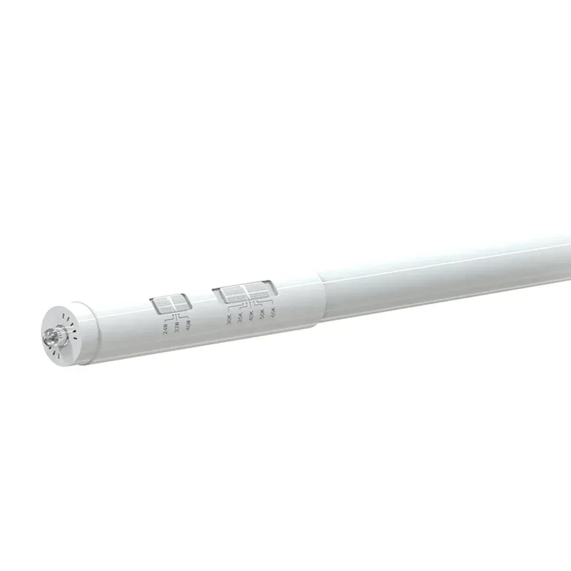 beeslighting12615972