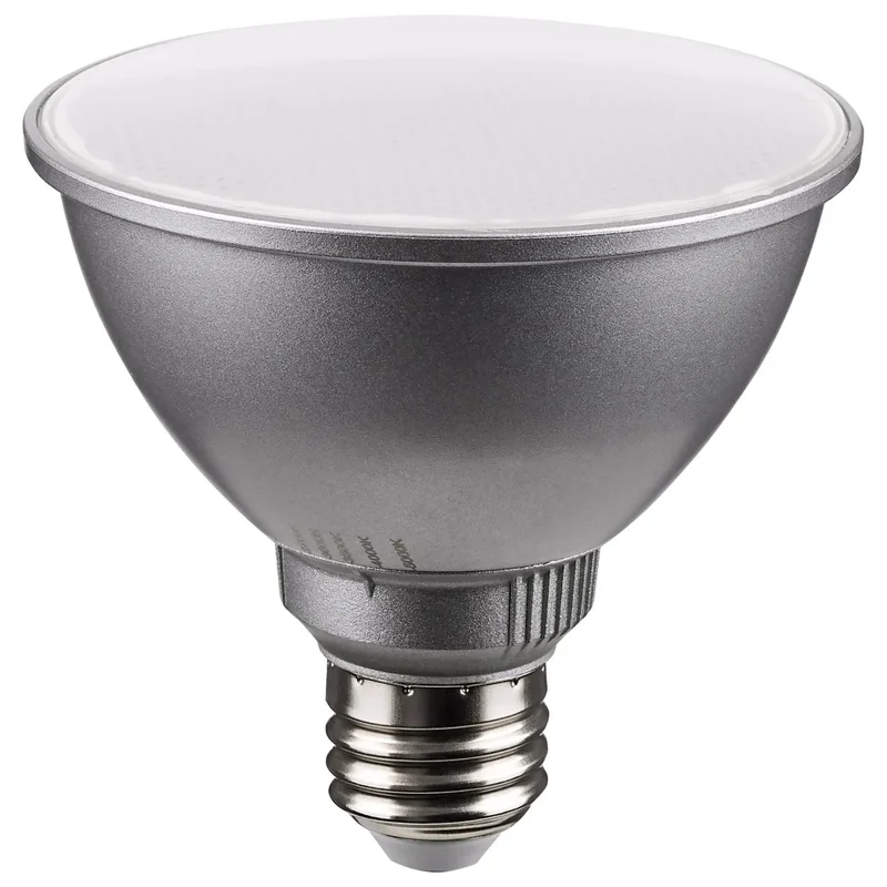 beeslighting12616936