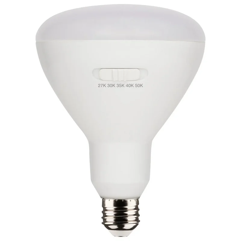 beeslighting12616991