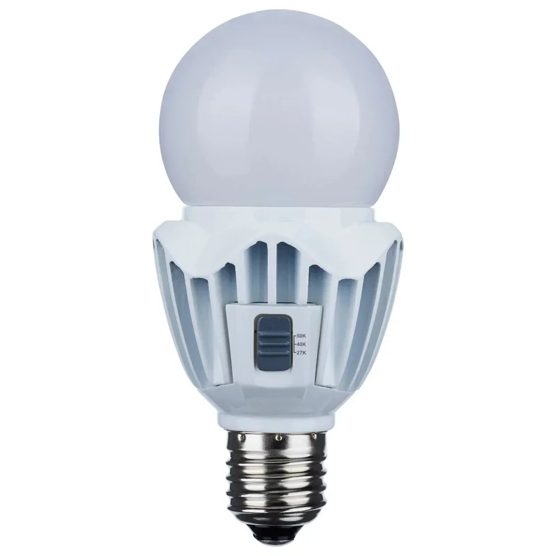 beeslighting12618533
