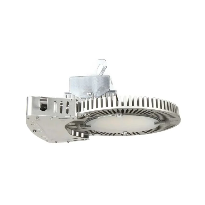 beeslighting12644523