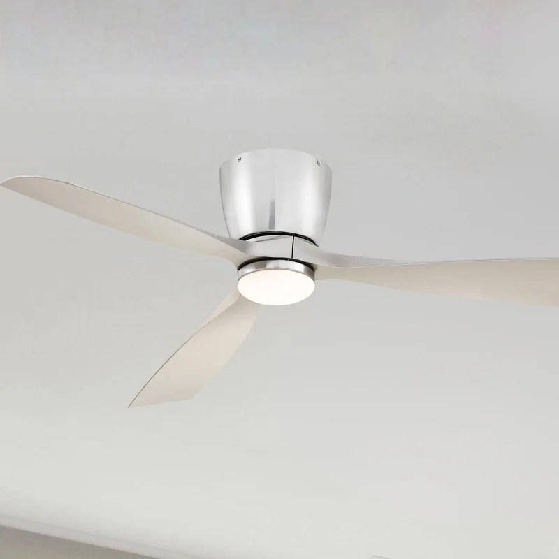 beeslighting12649269