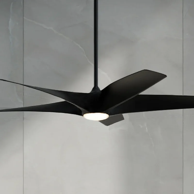 beeslighting12649450
