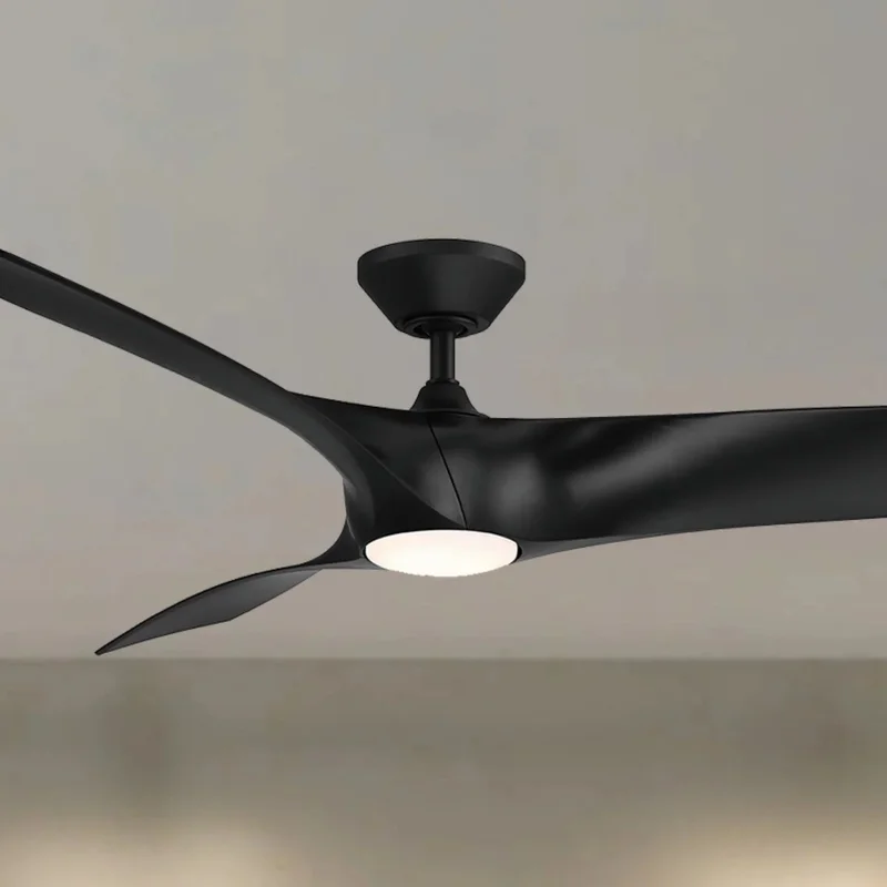 beeslighting12649708